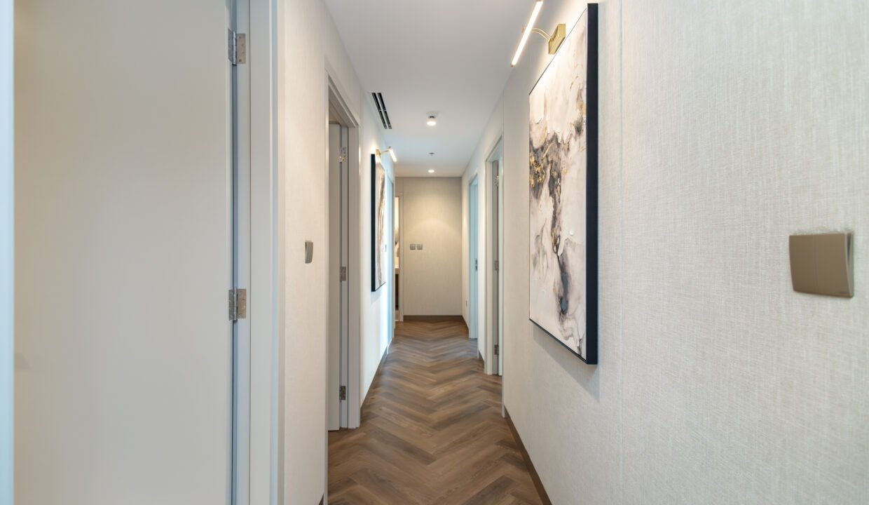 IMG_4261-Enhanced-NR